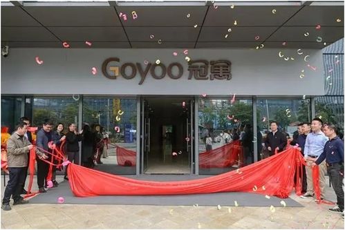 入閩11載 龍湖共享福建城市化大潮奔涌