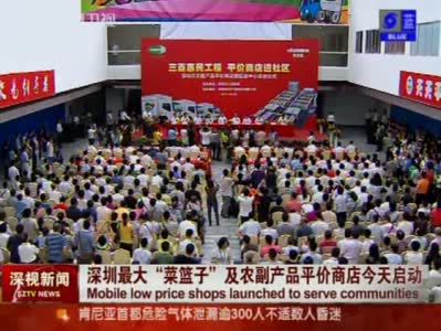 深視新聞 110929 深圳最大菜籃子及農(nóng)副產(chǎn)品平價(jià)商店今天啟動_深圳衛(wèi)視視頻_新浪播客